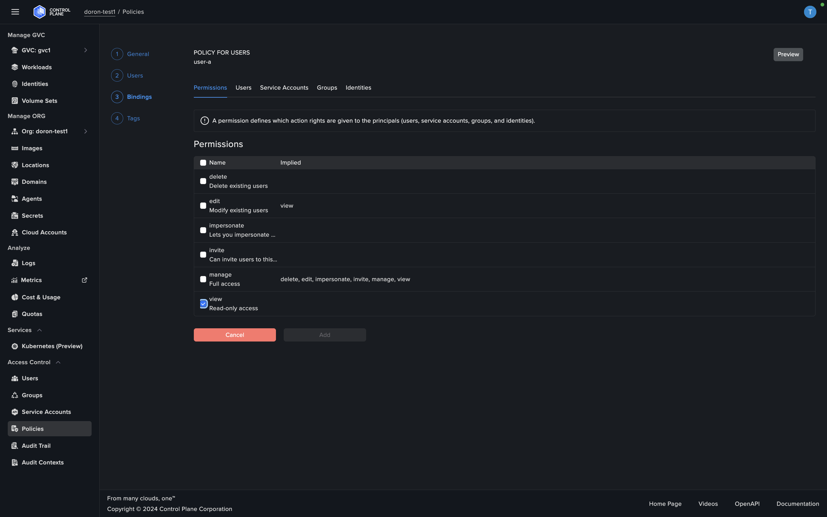 Screenshot displays the "user-a" policy, granting a specific user designated read-only permission access within the Control Plane platform.